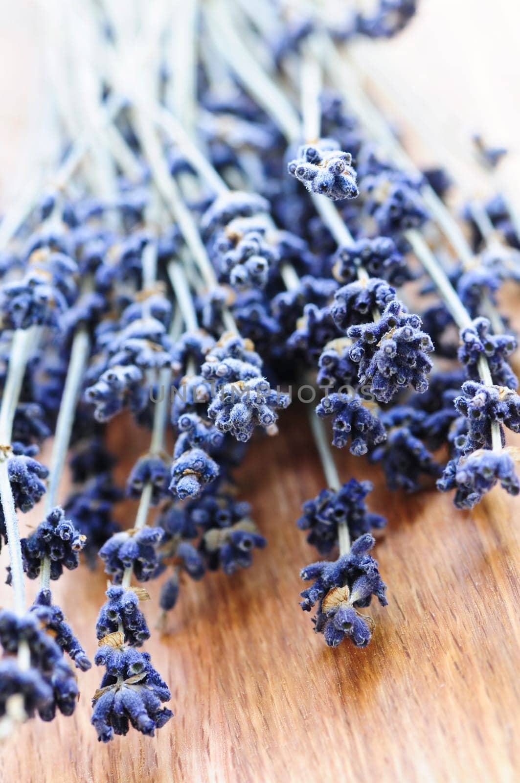 Dried lavender