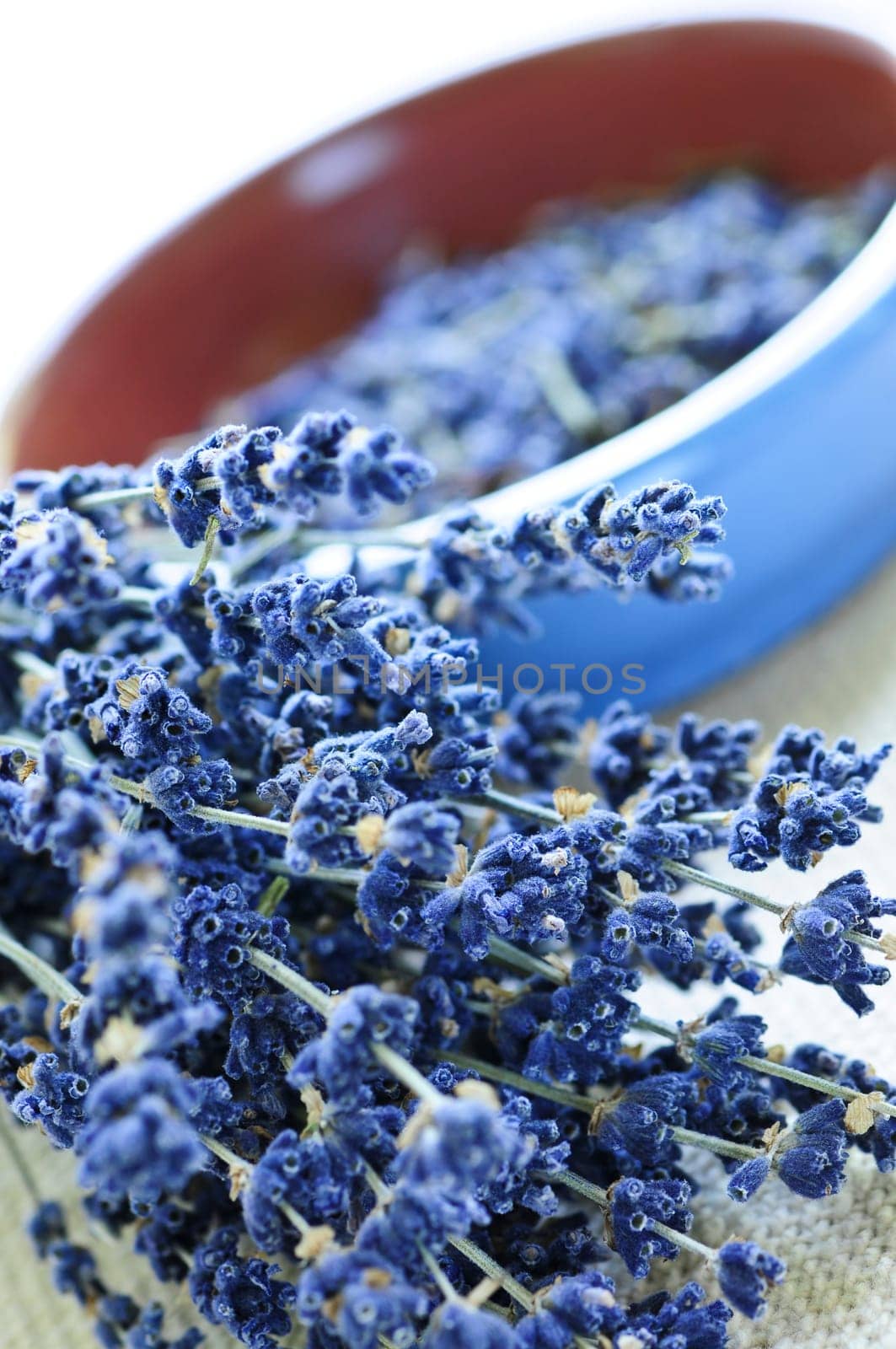 Dried lavender