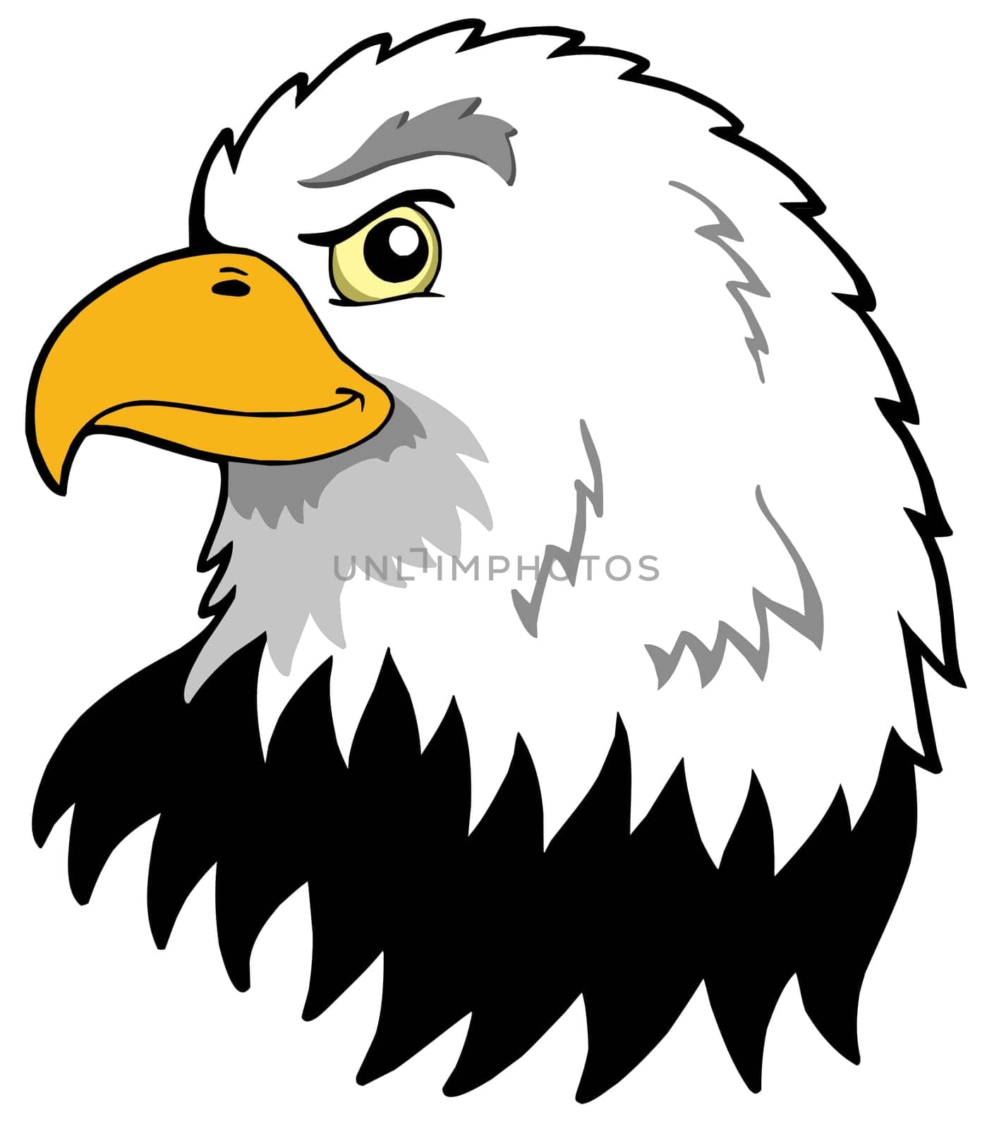 American eagles head