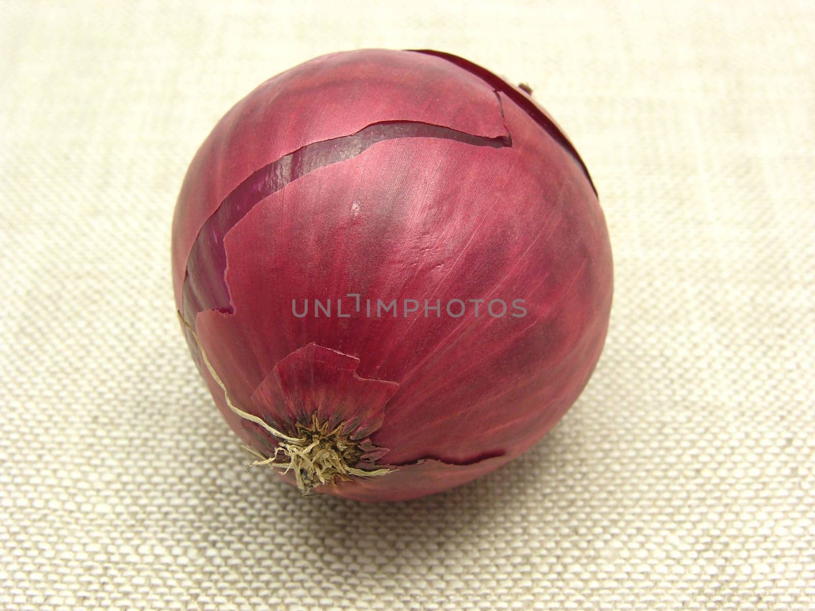 Red onion on beige cloth