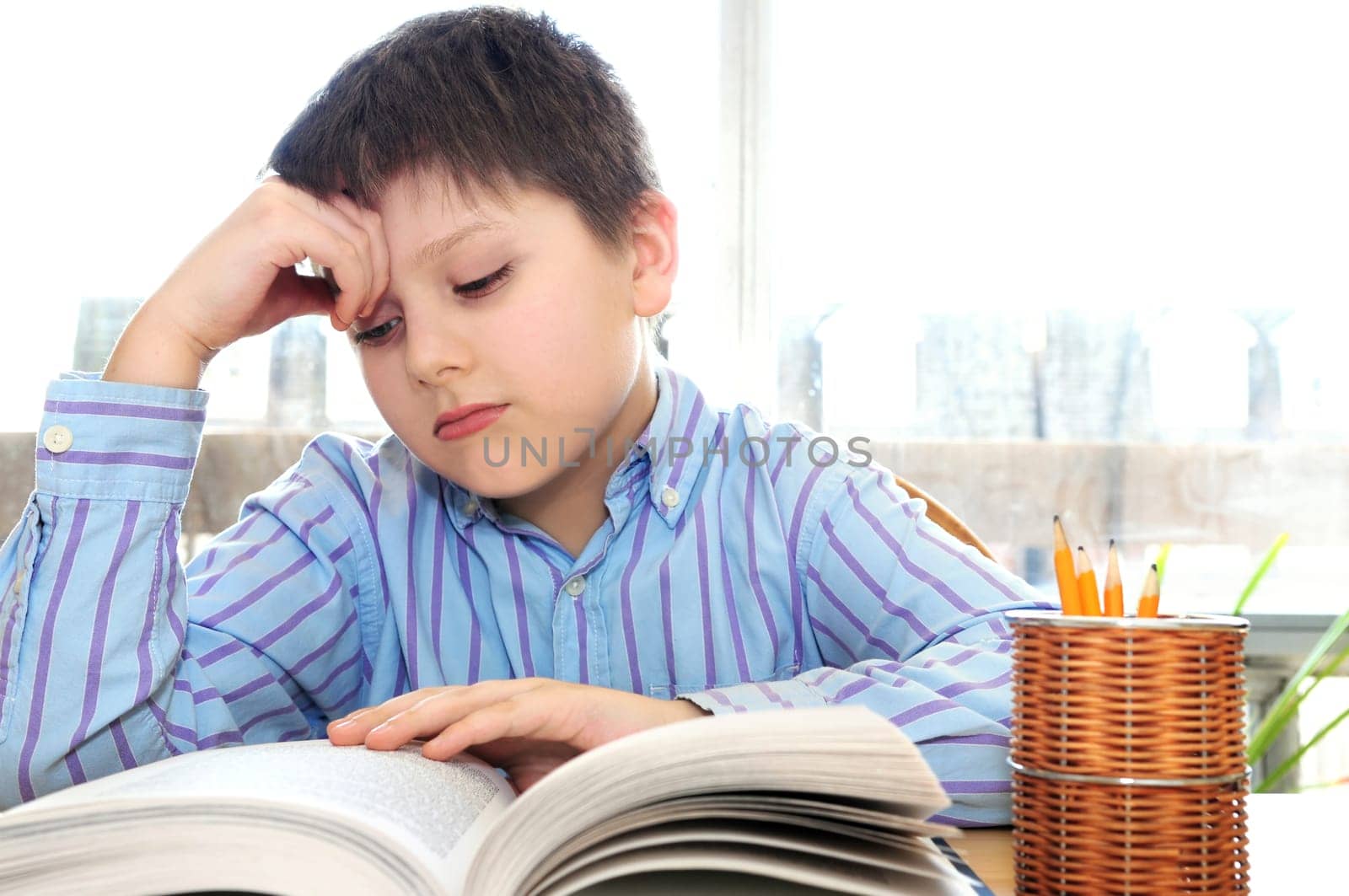School boy studying