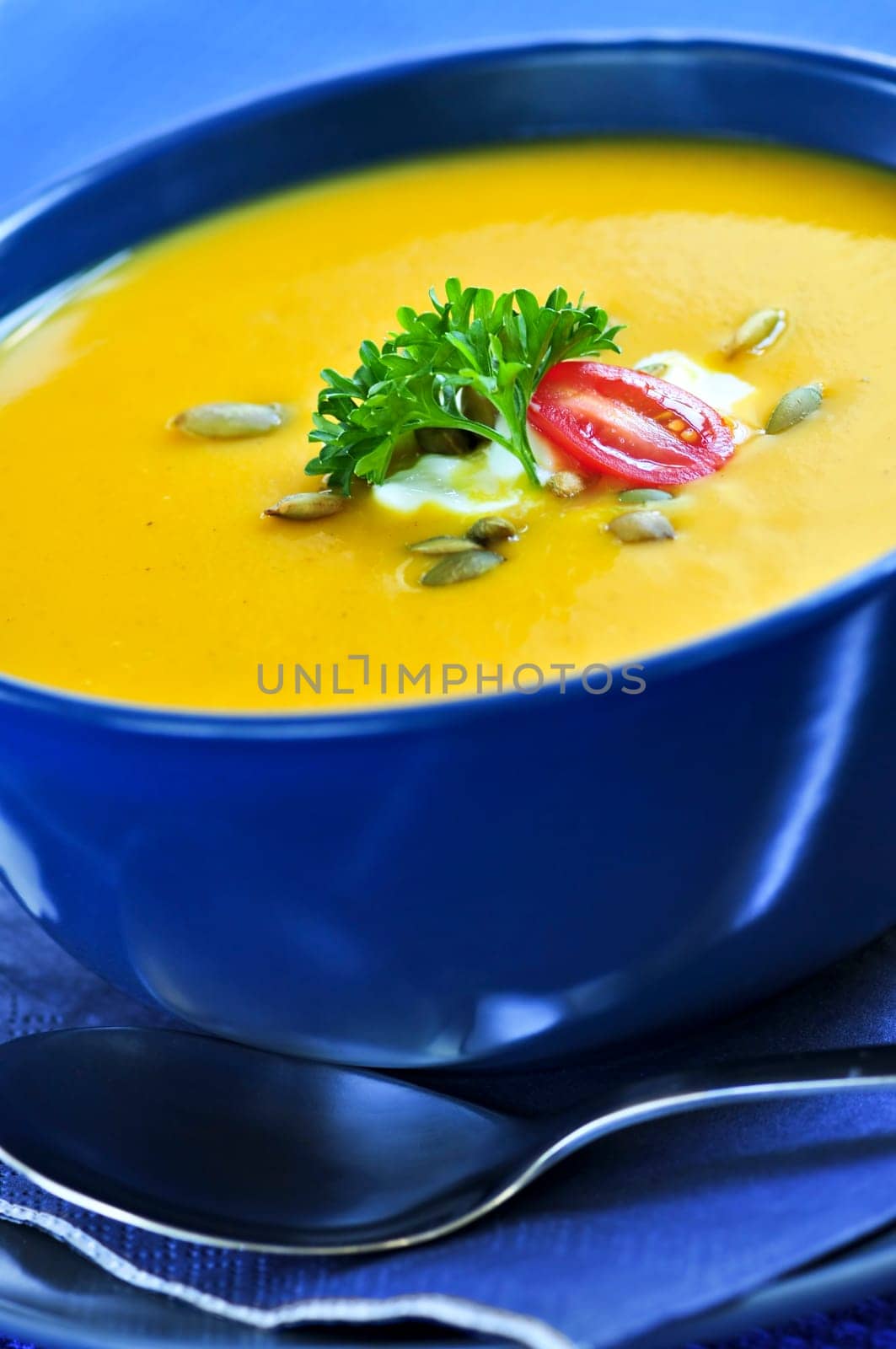 Pumpkin or squash soup