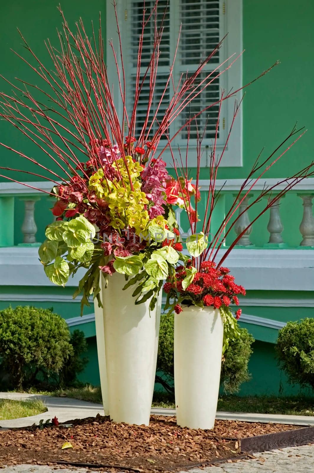 Pots of flowers
