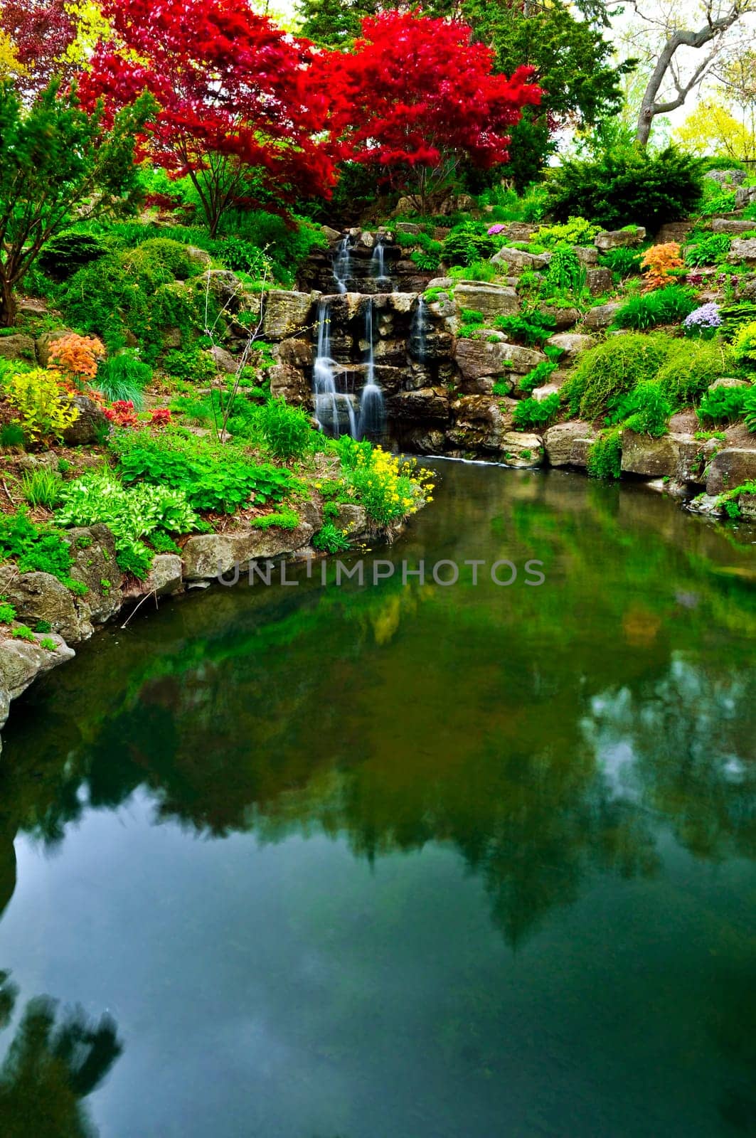 Cascading waterfall and pond