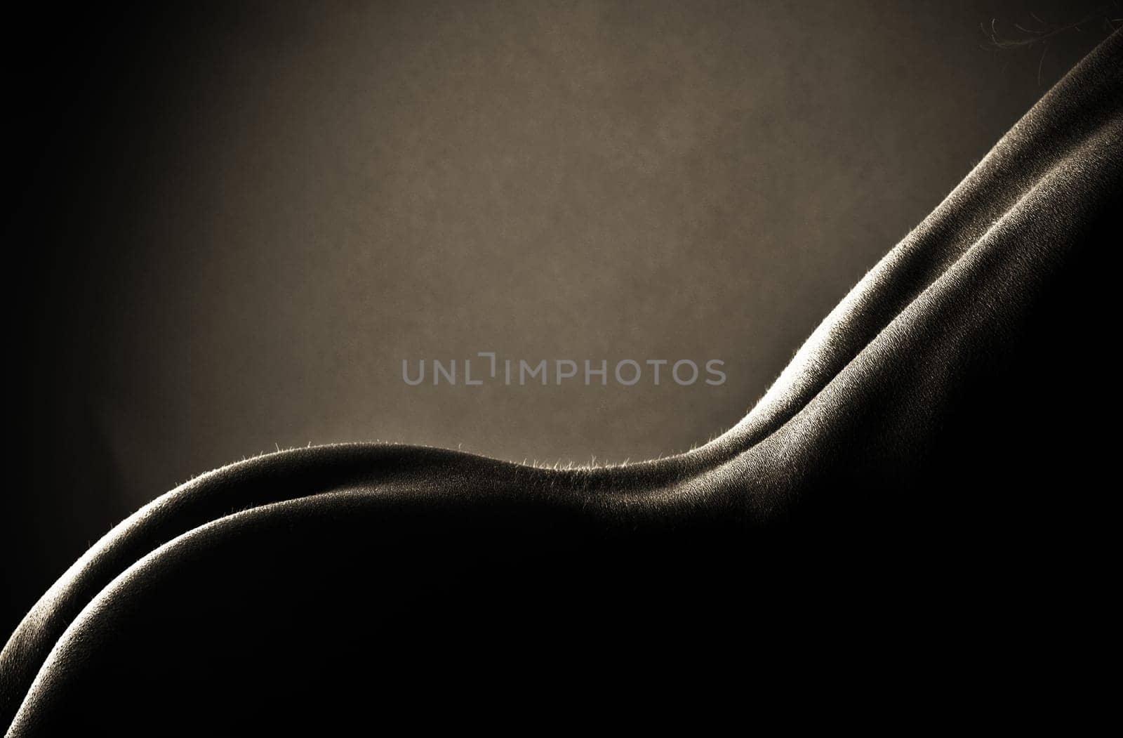 backside