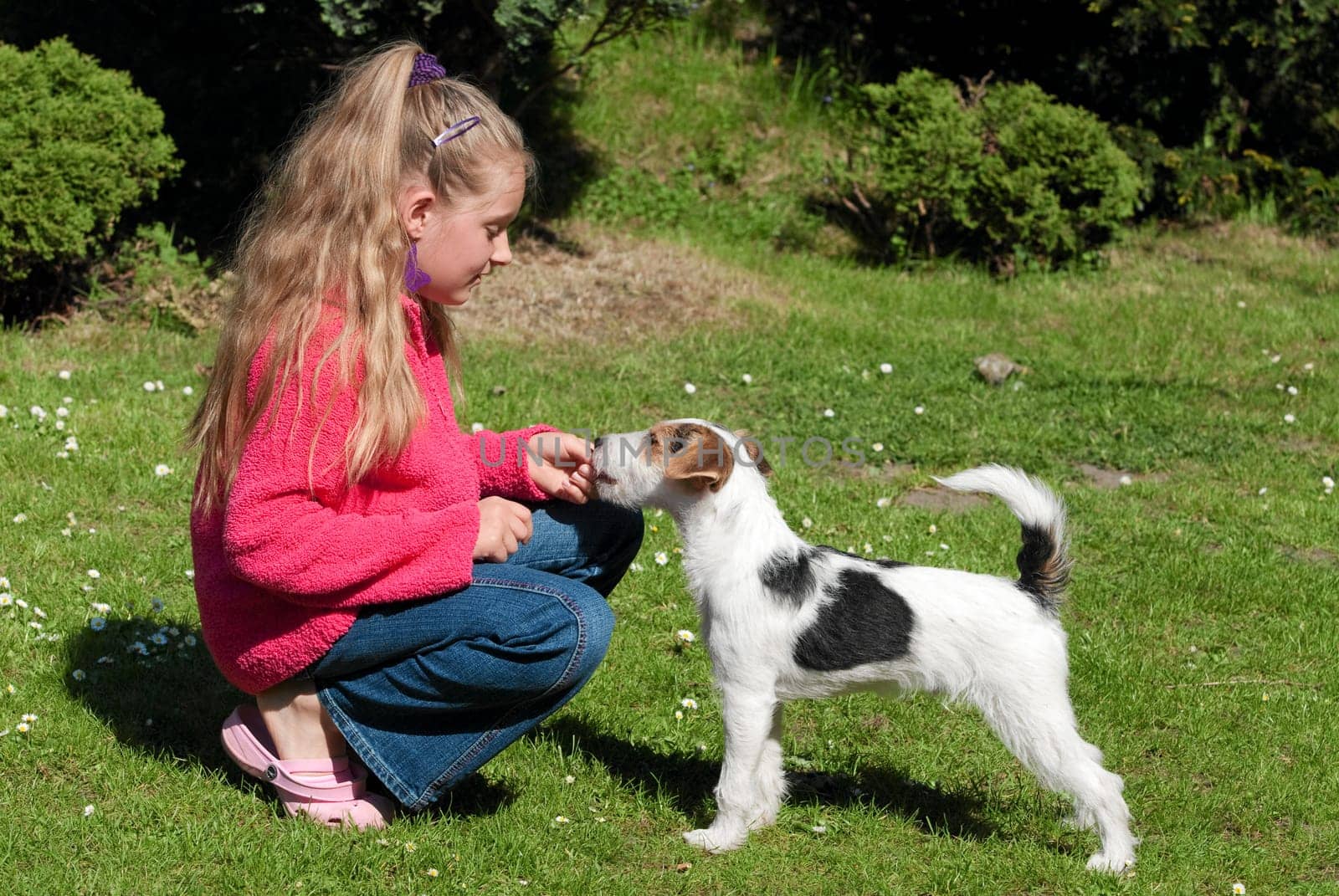 Child with dog