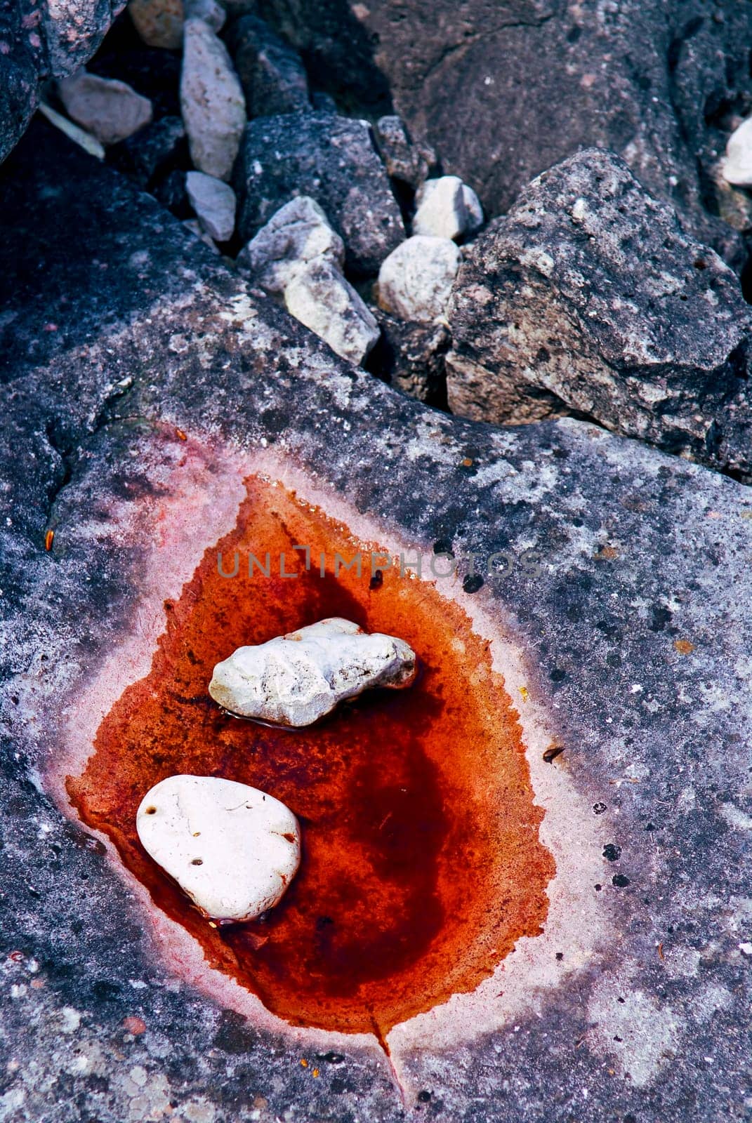 Rocks at Georgian Bay