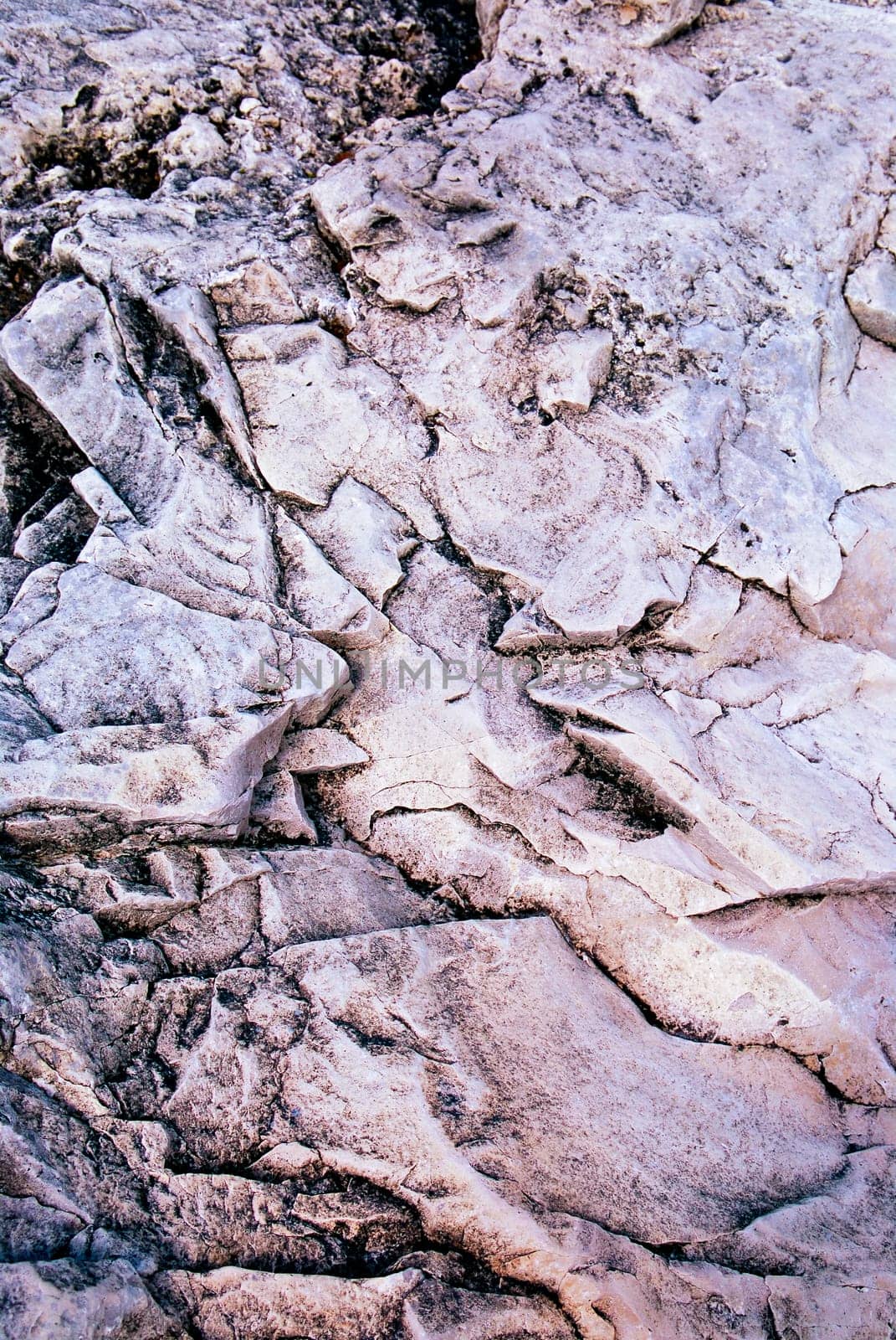 Rocks at Georgian Bay