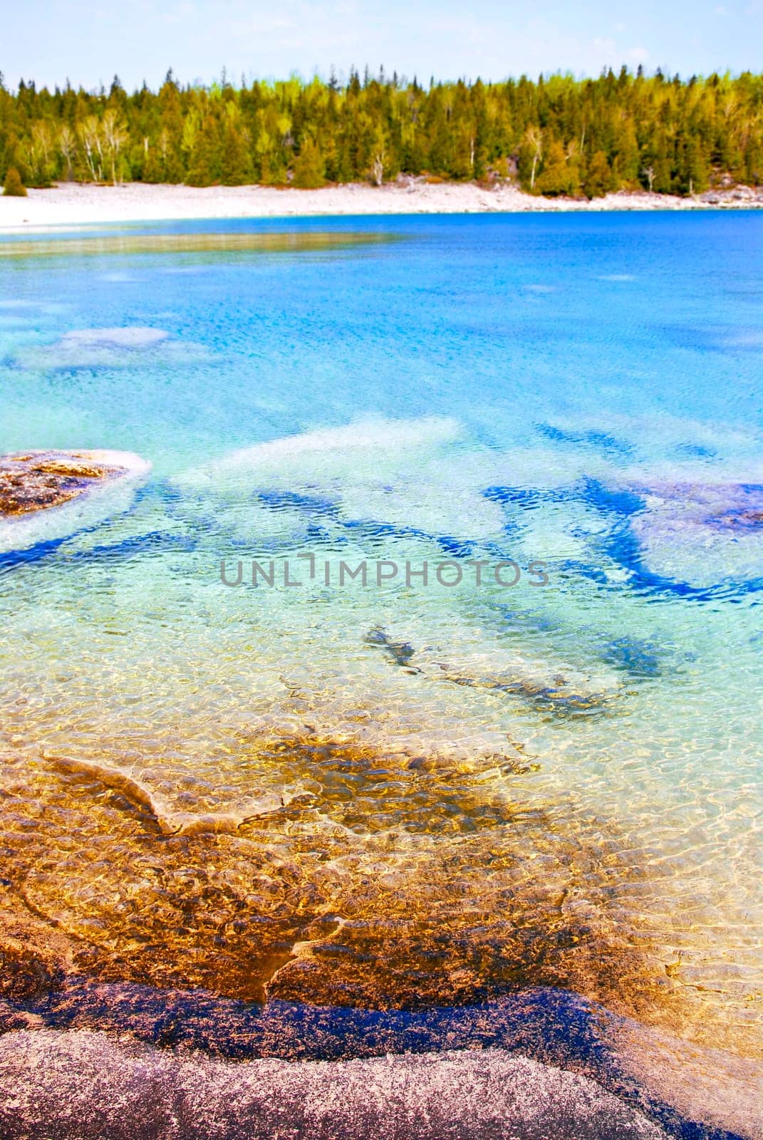 Clear water at shore of Georgian Bay