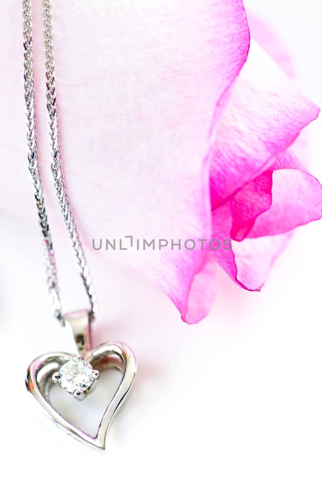 Diamond necklace on rose