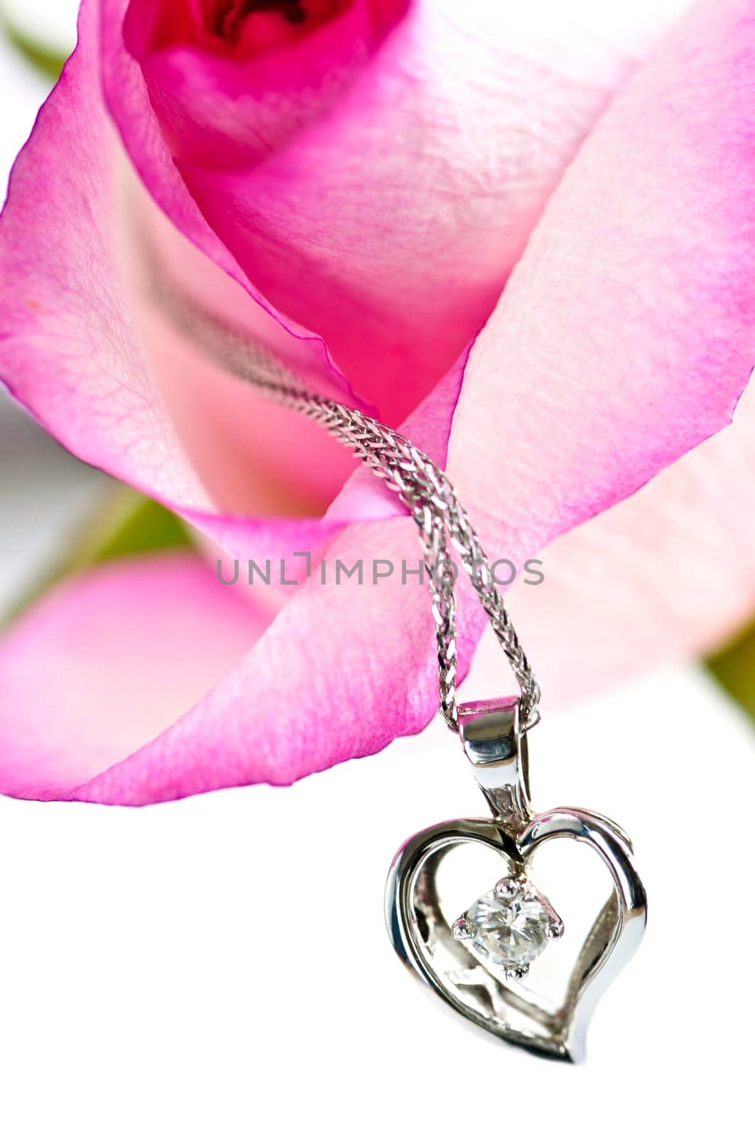 Diamond necklace on rose