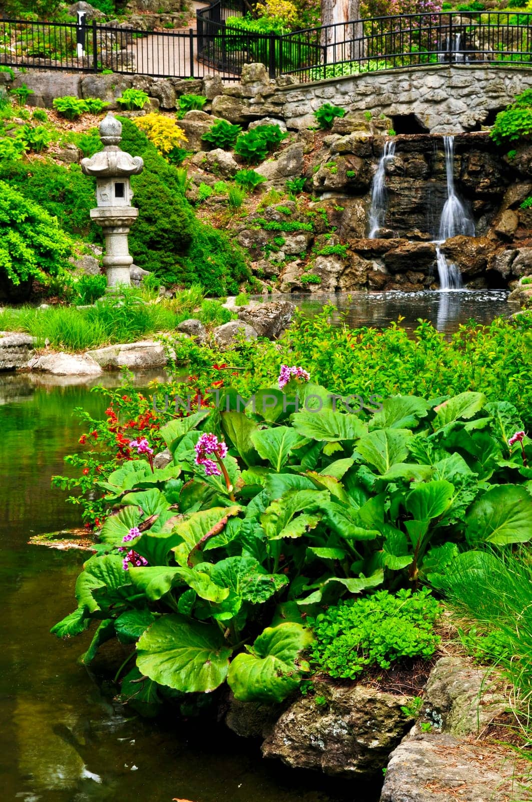 Cascading waterfall and pond