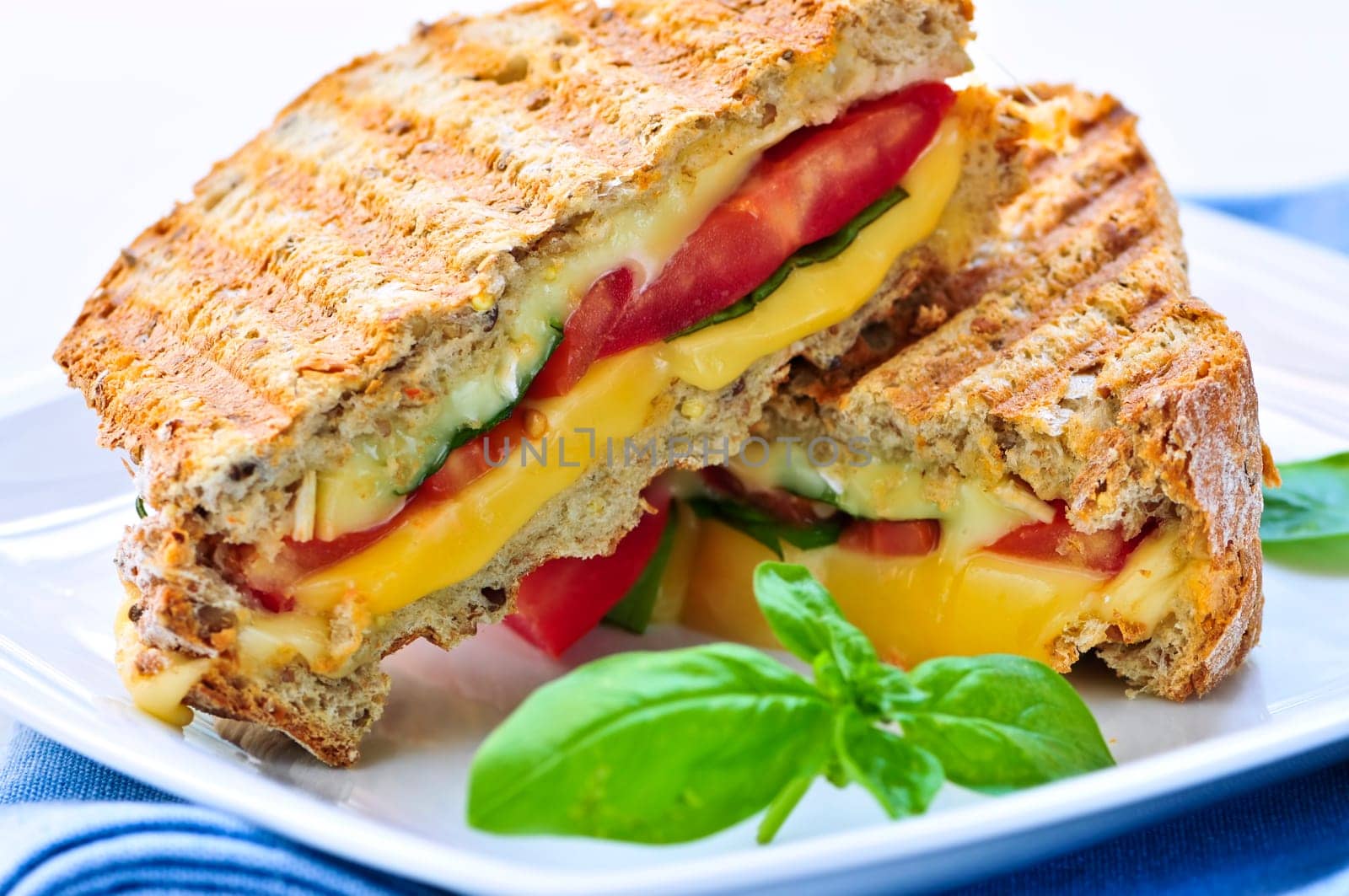 Grilled cheese sandwich
