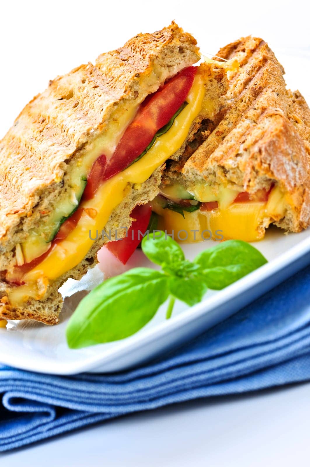 Grilled cheese sandwich