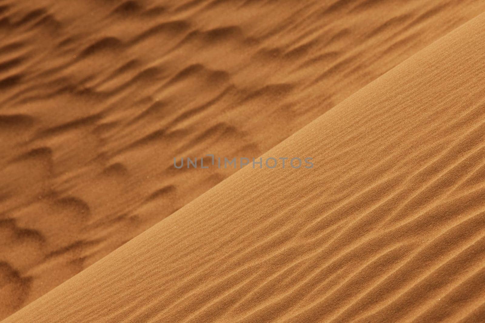desert sand close-up