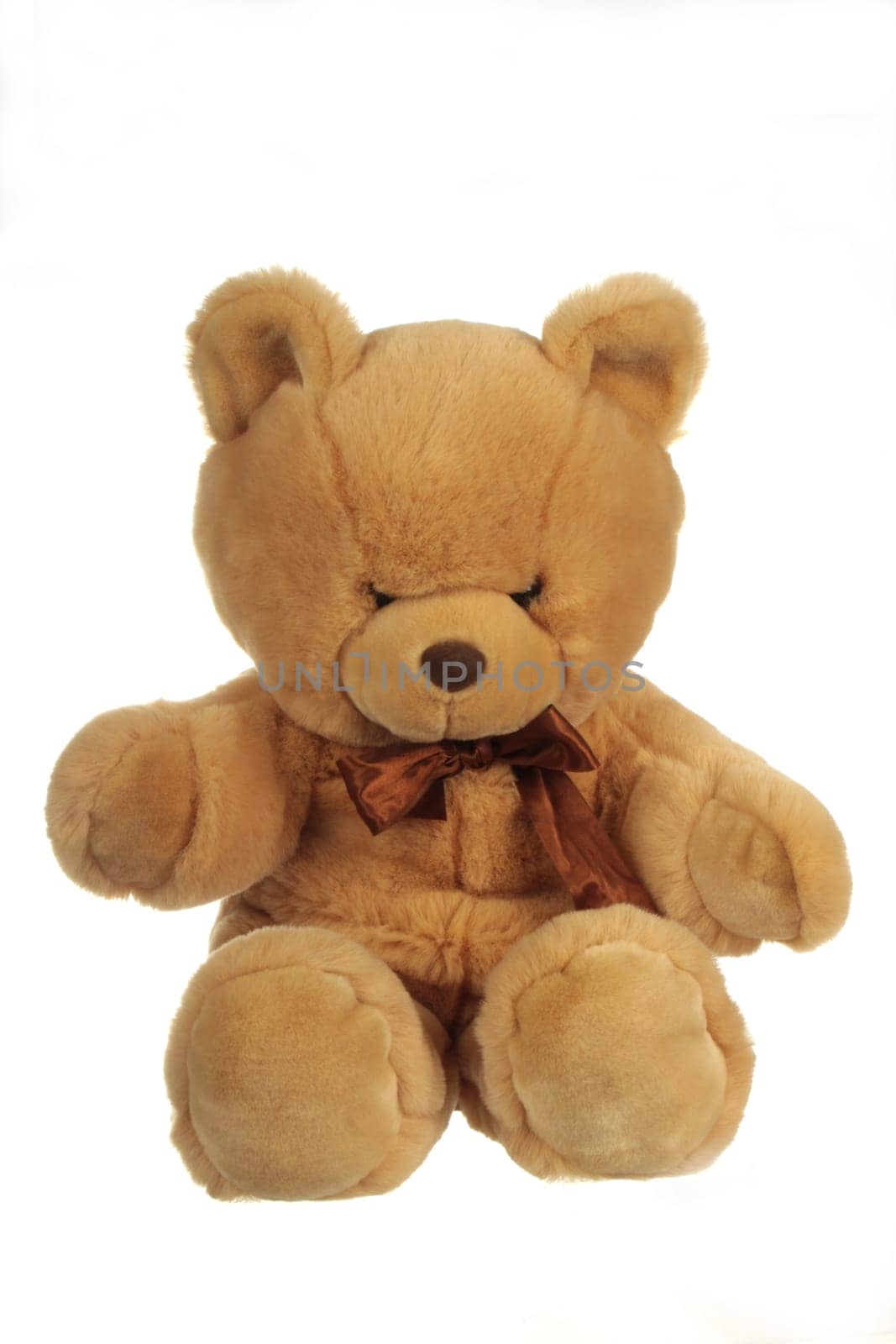 angry teddy
