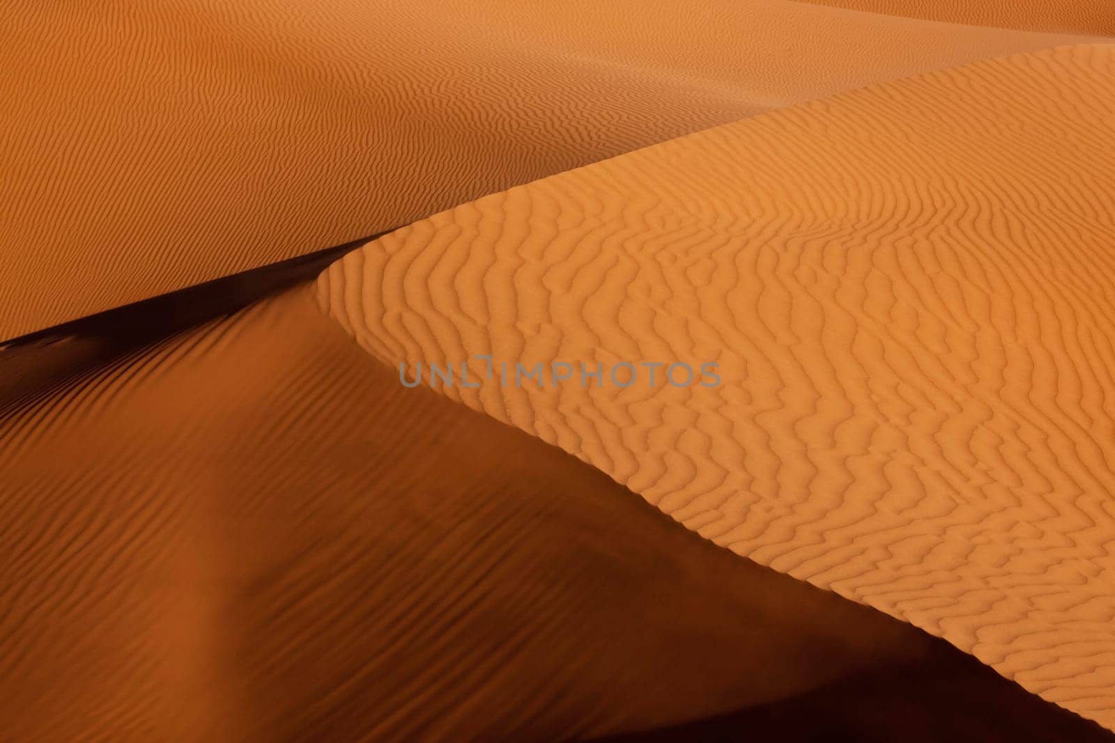 sand dunes in the Sahara desert