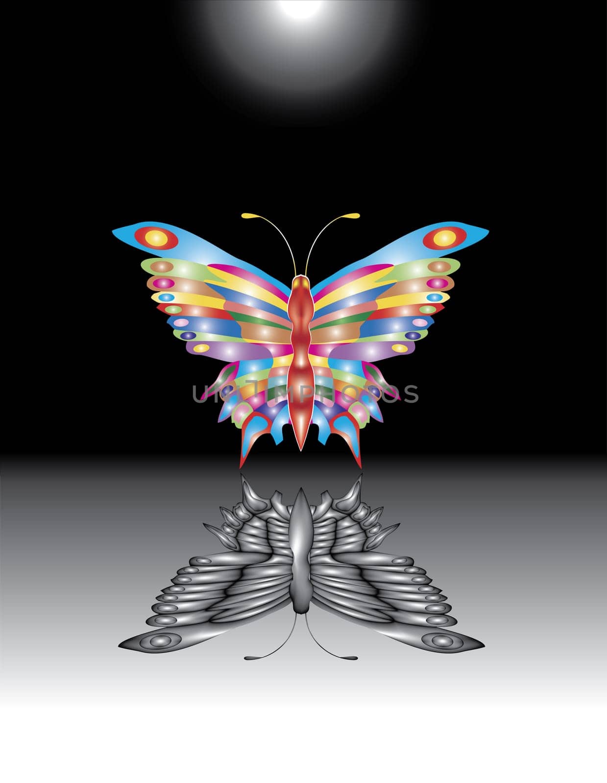 Fantastic butterfly.