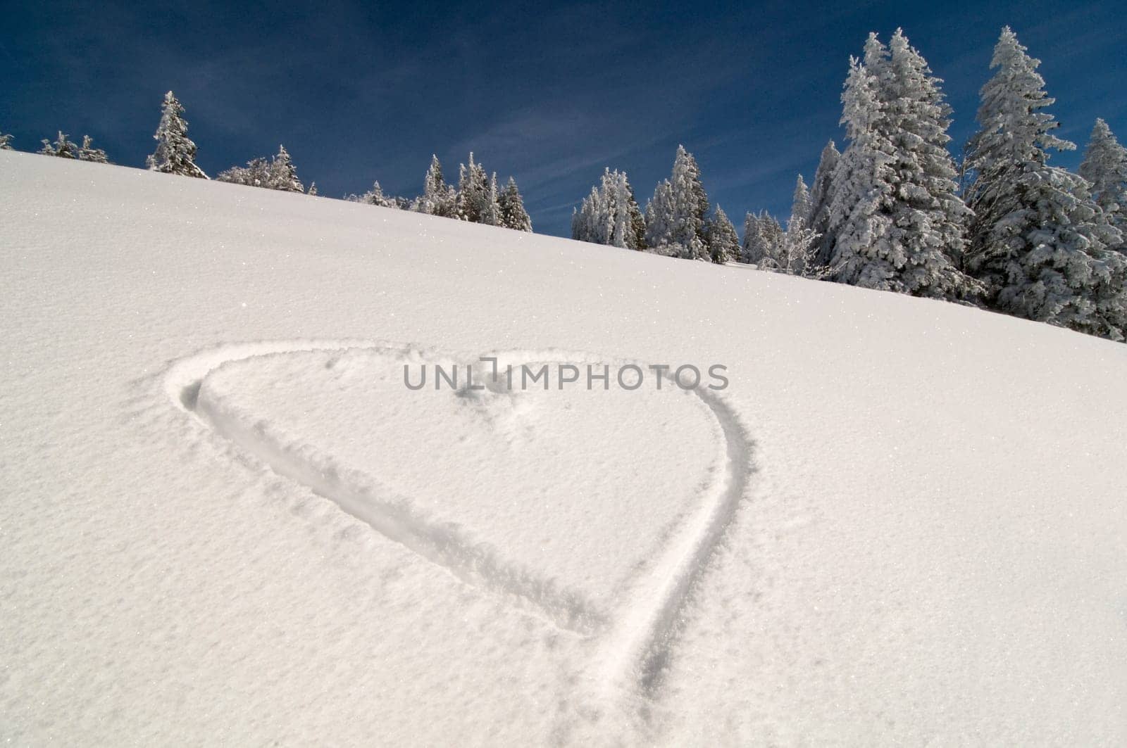 Winter Heart