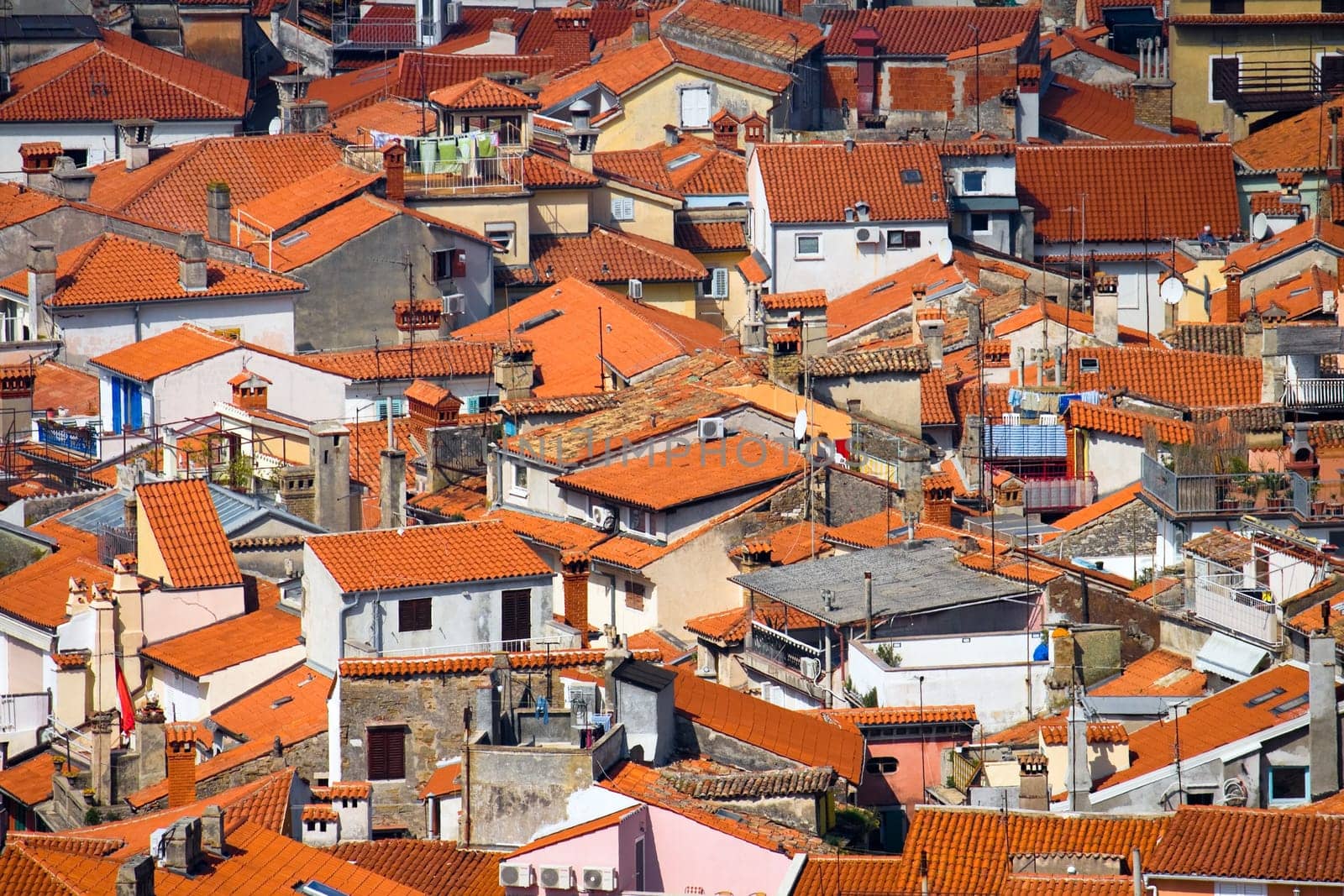 Roofs of a typical southern European town
