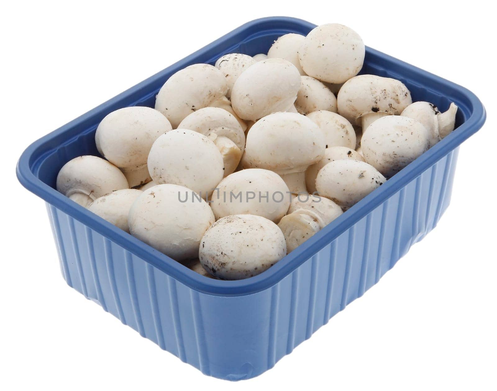 Mushroom