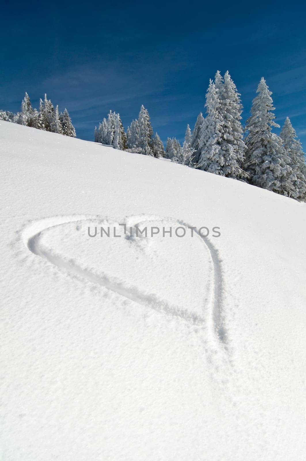 Winter Heart2