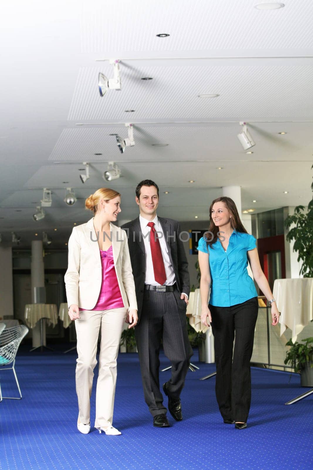 Business Team