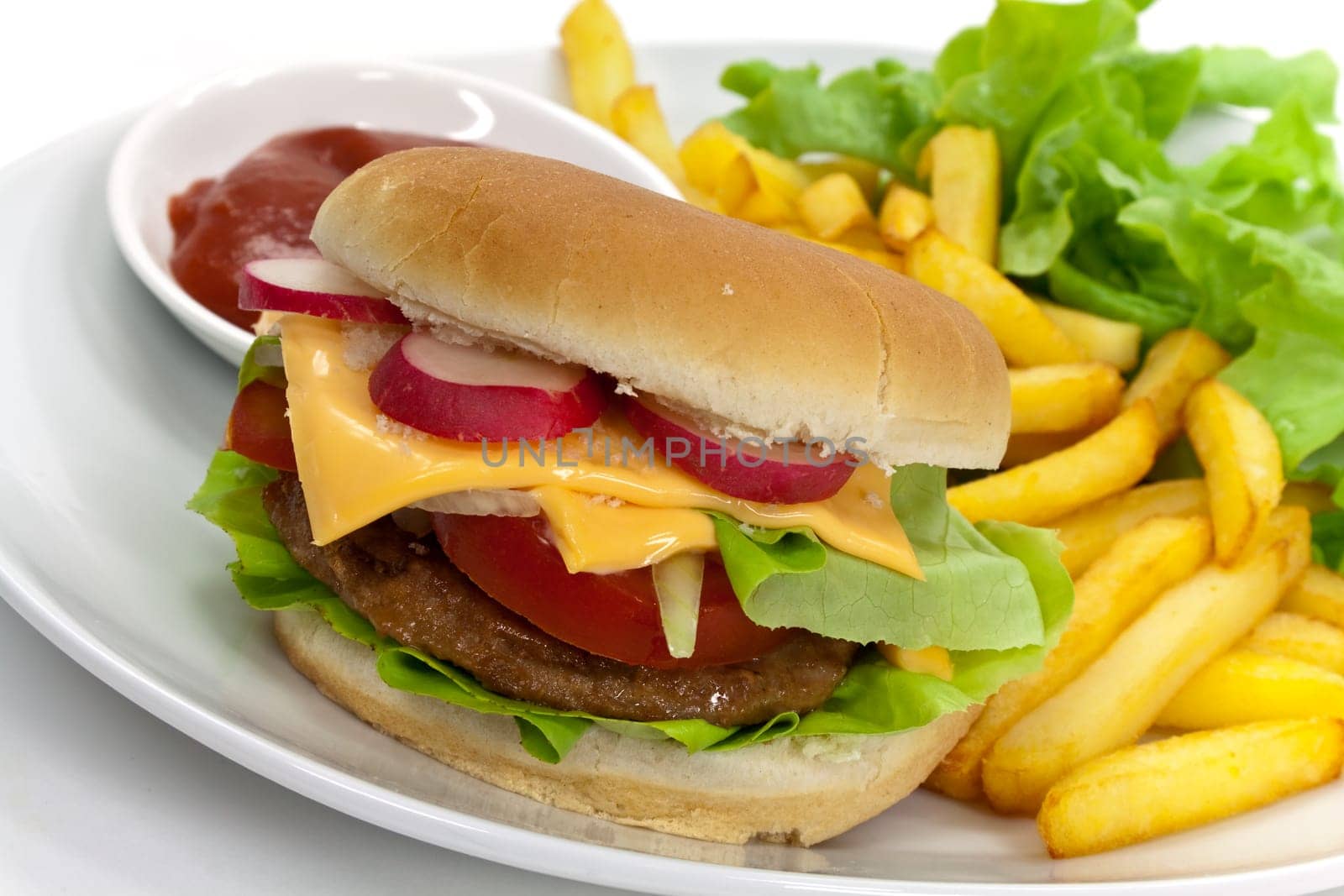 Cheeseburger with french fries