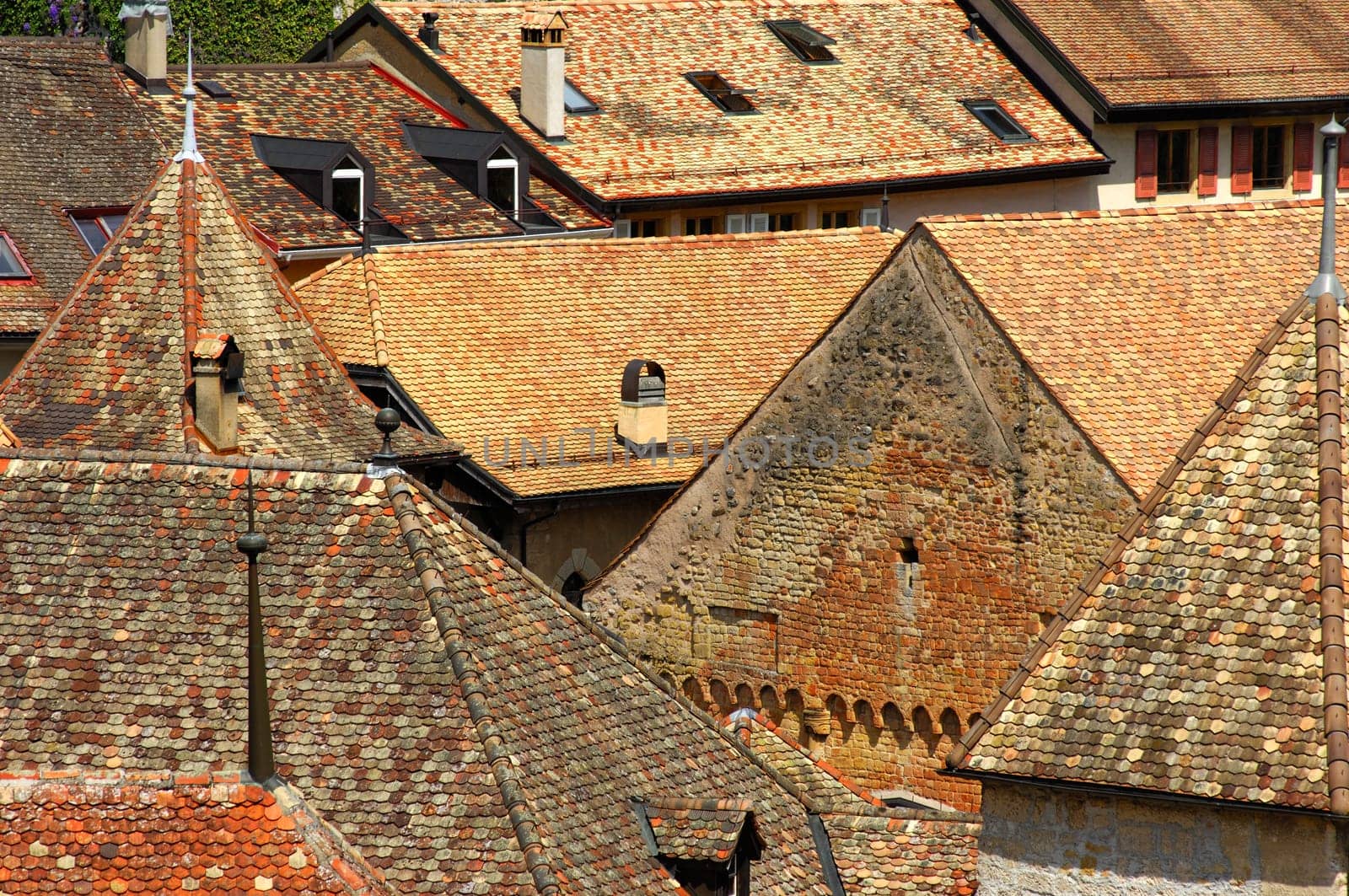 Old Town Rooftops