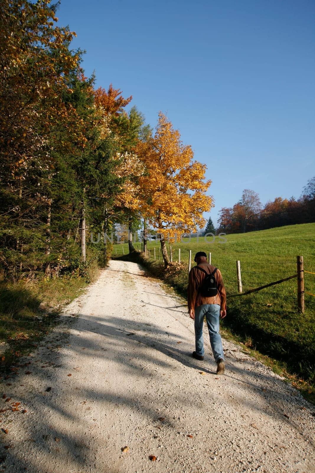 Autumn hike