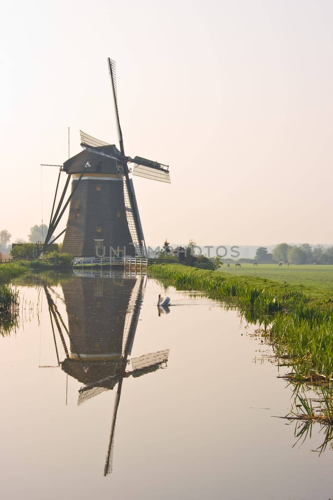 Dutch watermill with reflection