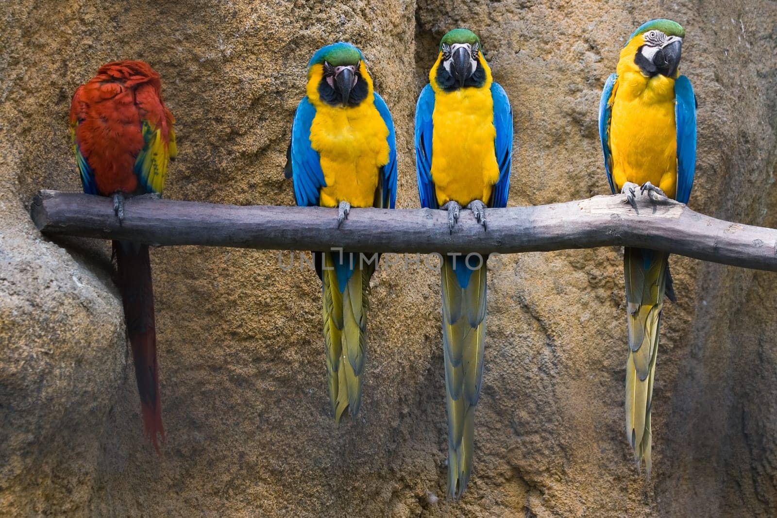 Different color