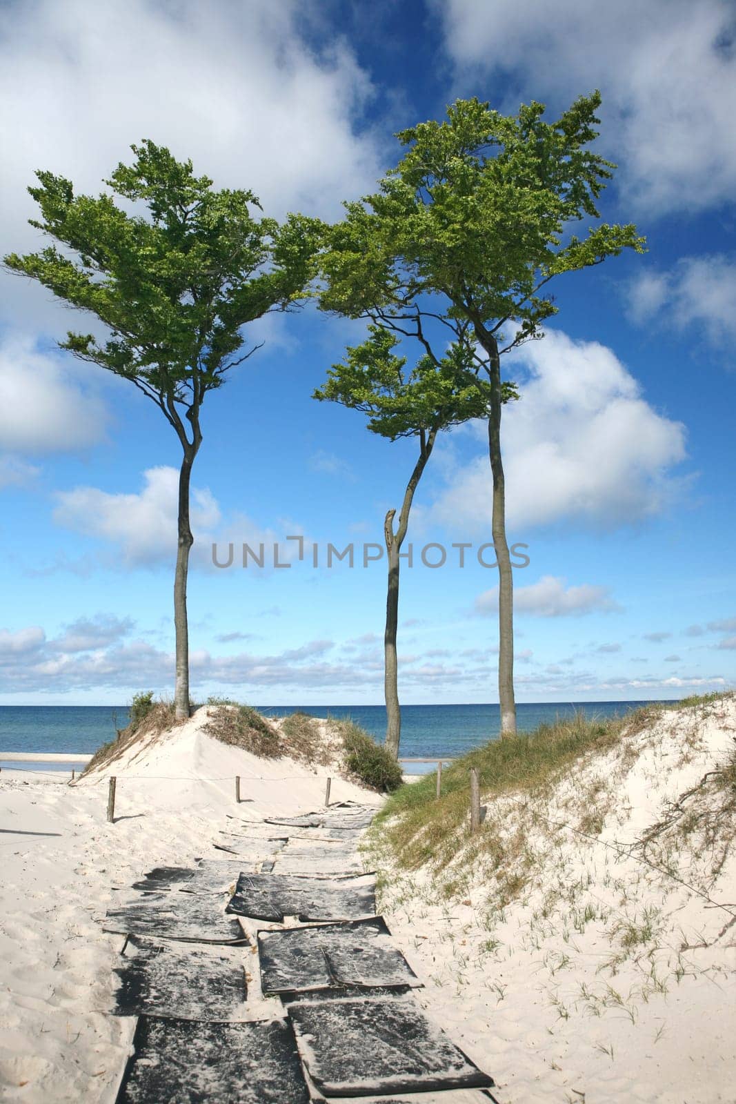 Darßer Weststrand