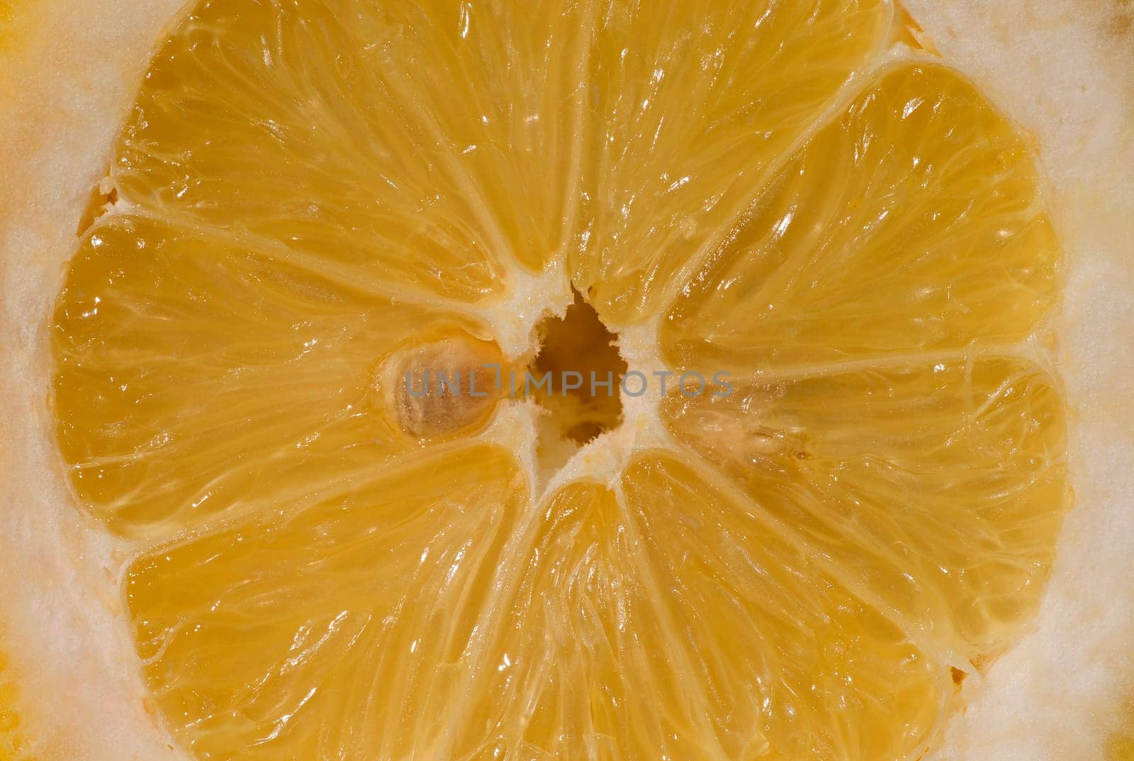 Inner workings of a lemon