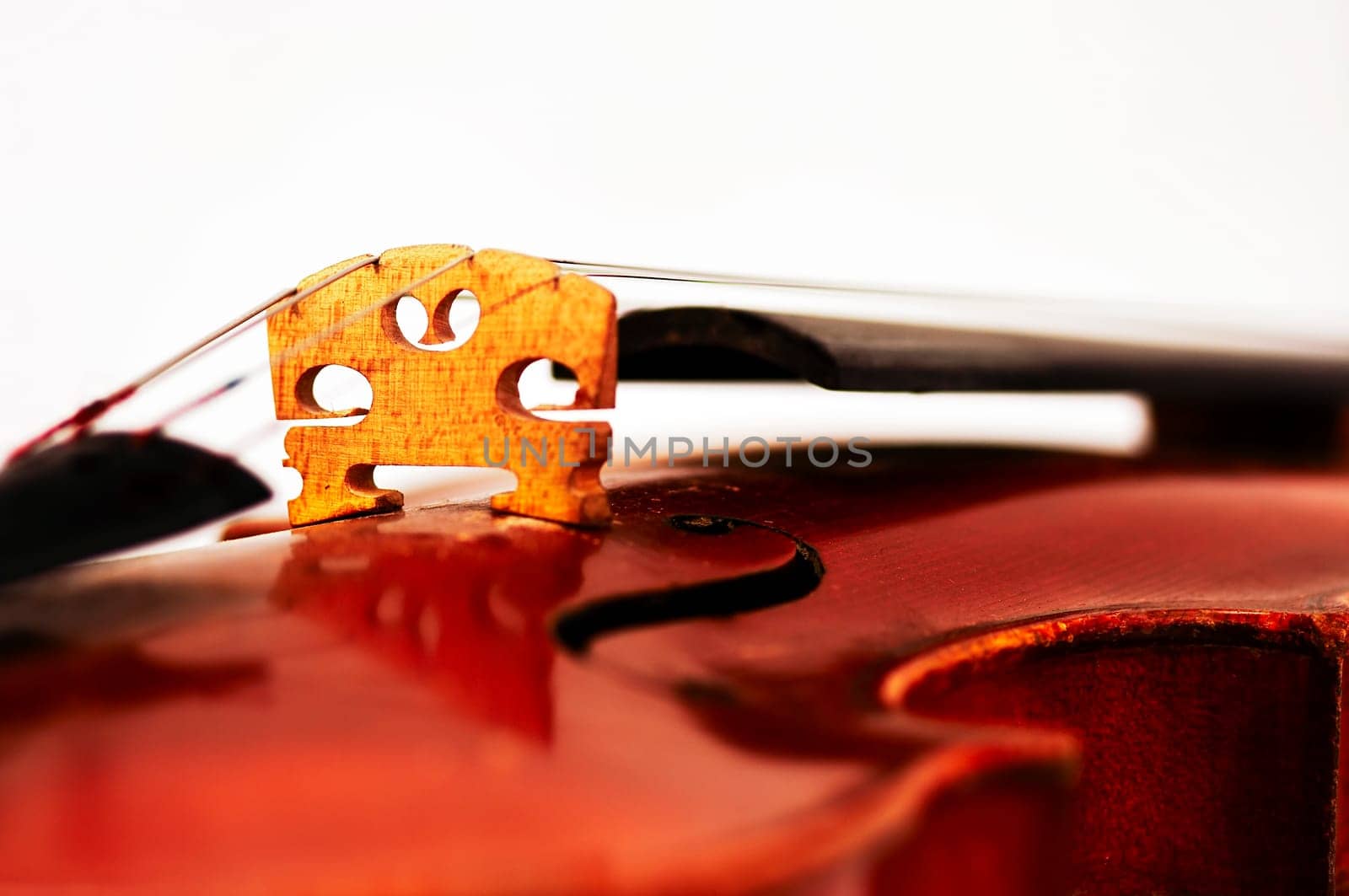 fiddle bridge