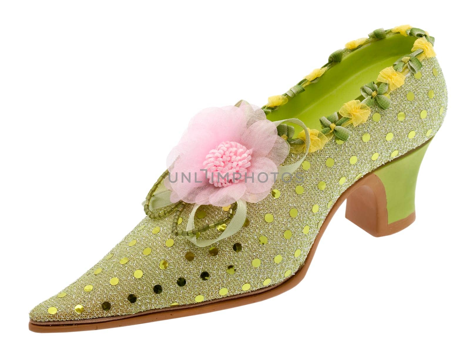 Women's shoes elegant