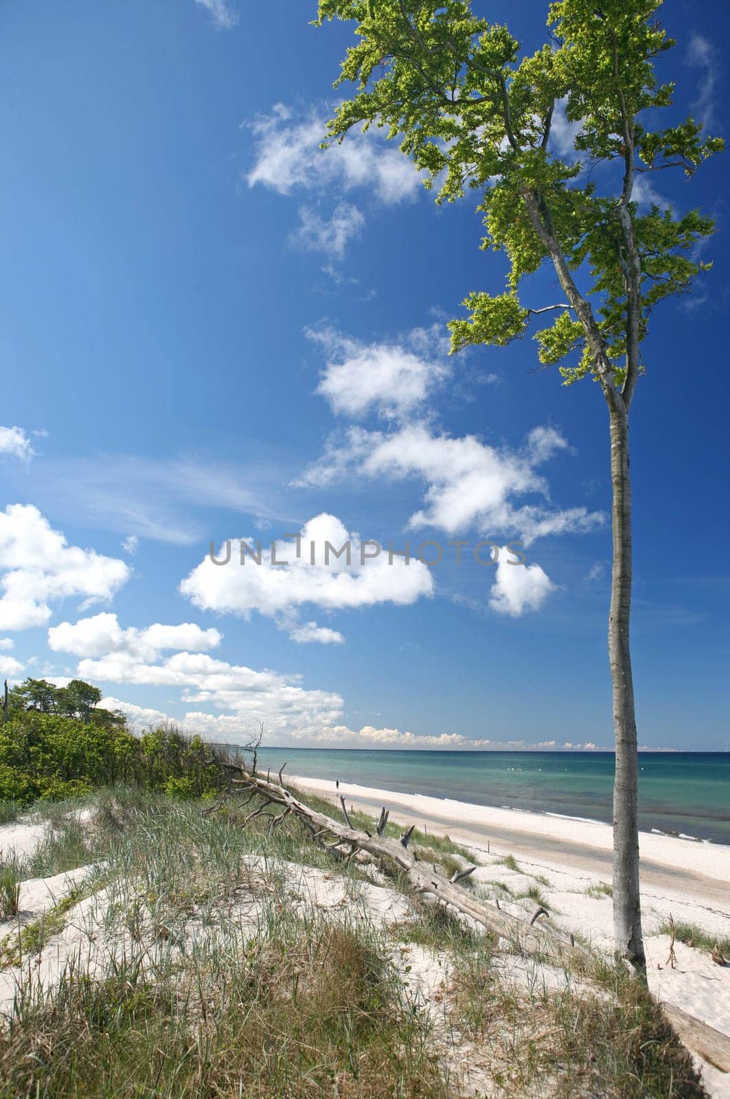 on the Baltic Sea beach