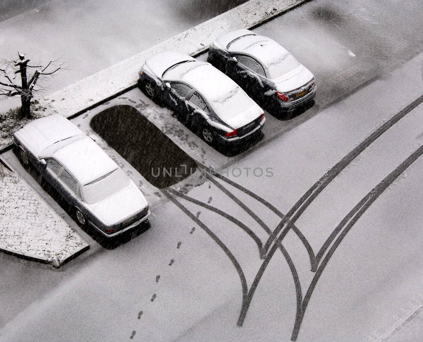 Snowy cars and tracks in freshly fallen snow in a parking lot