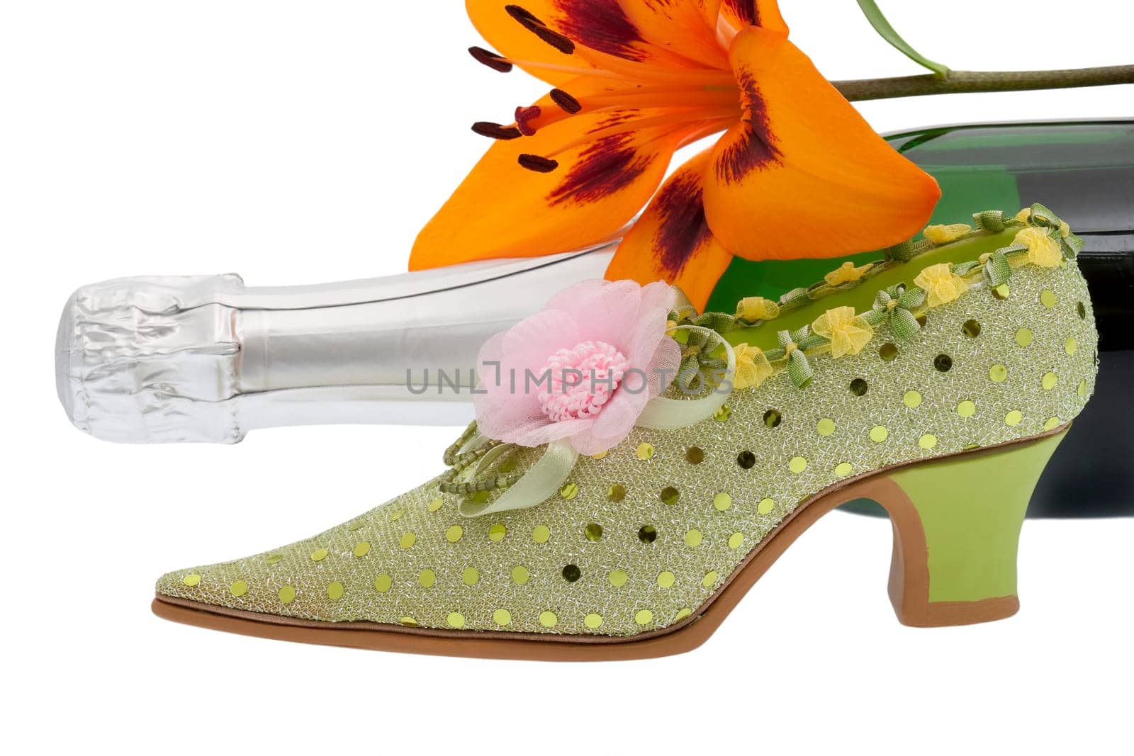 elegant women's shoe with champagne