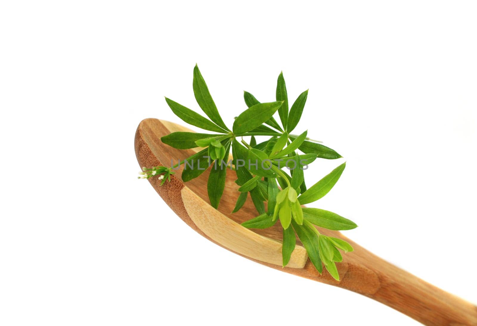 Woodruff