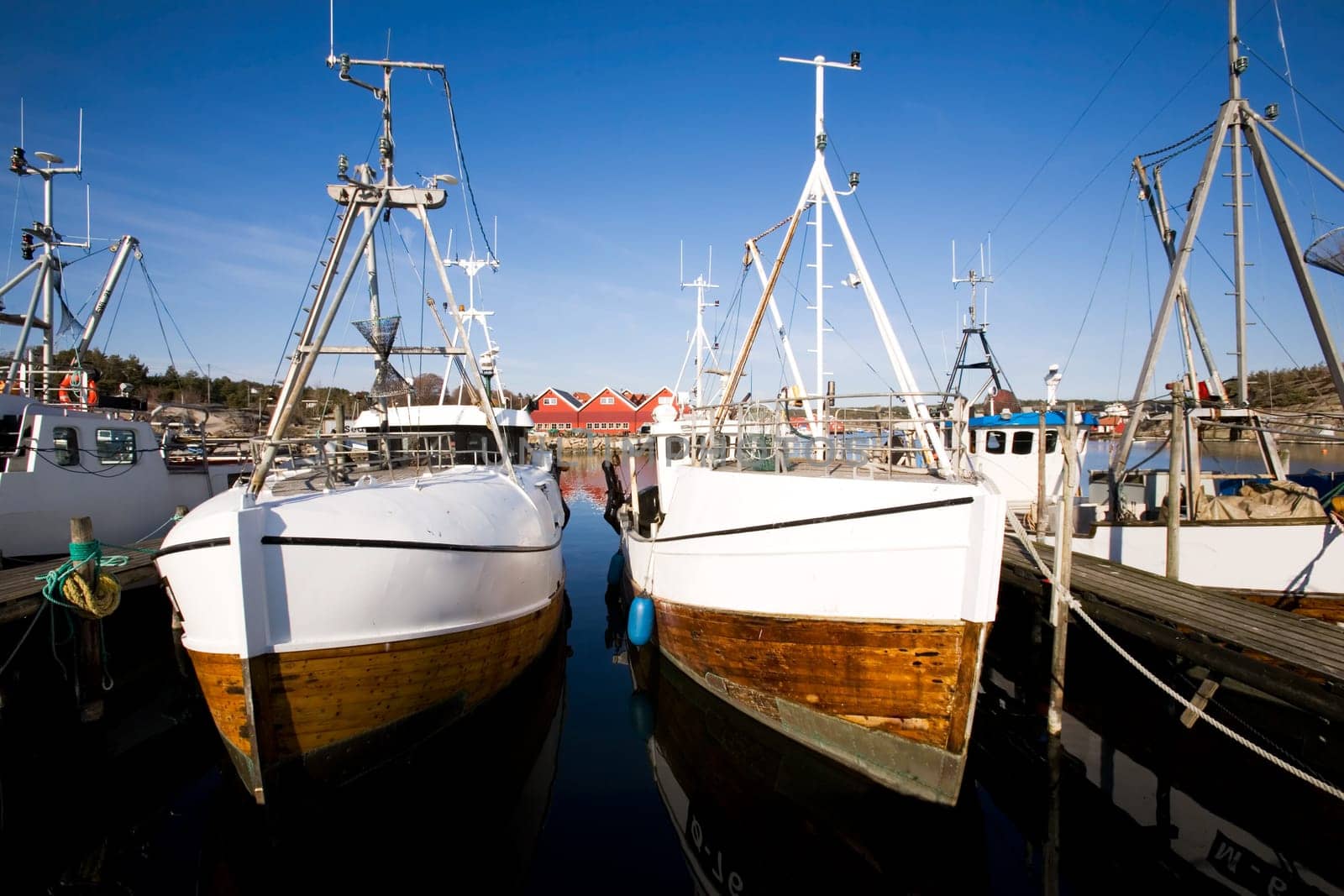 Fishing Boats at Dock