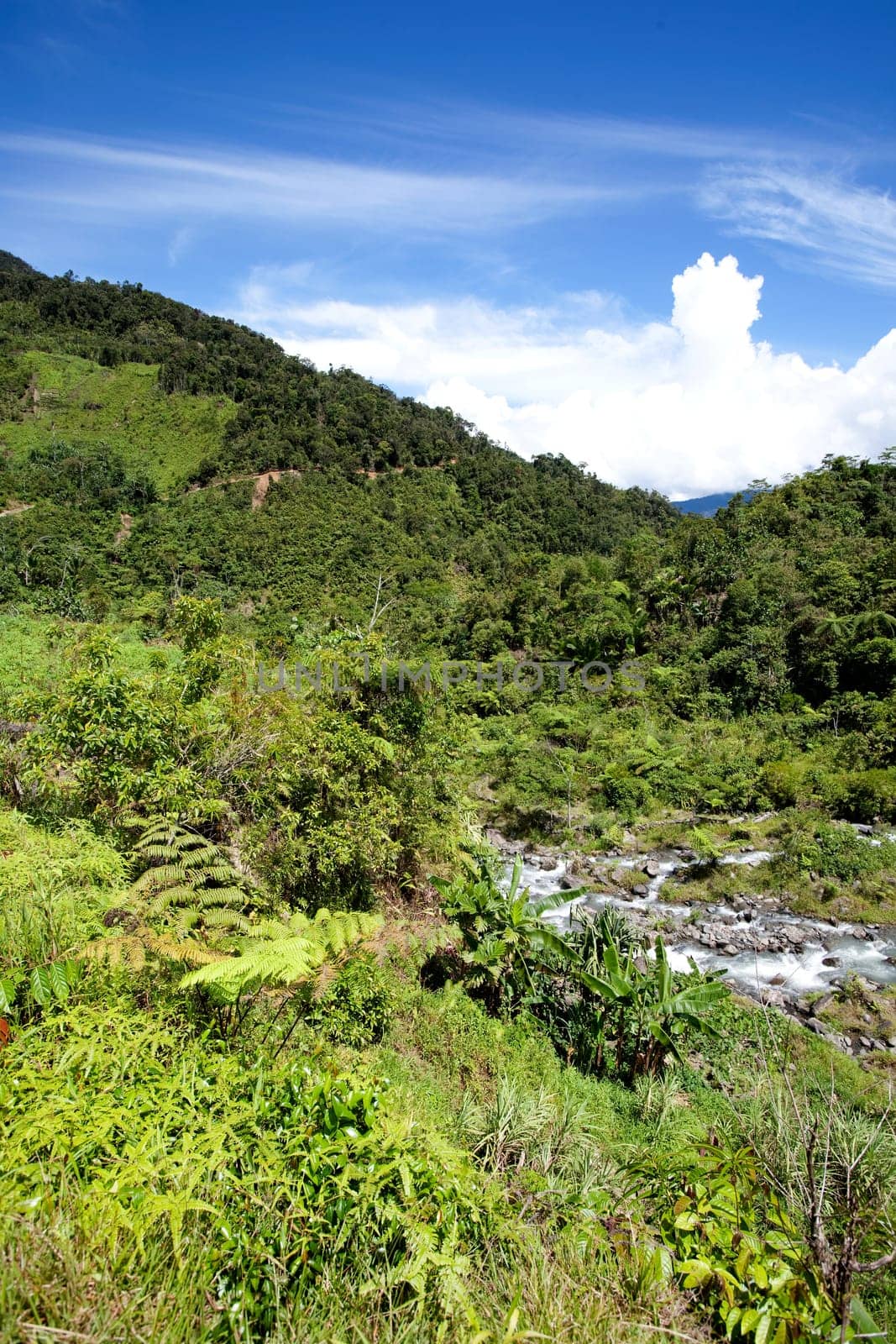 Tropical Mountain Landscape
