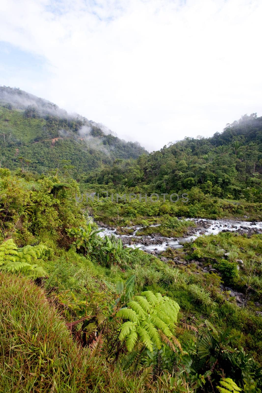 Mountain Stream with Fog