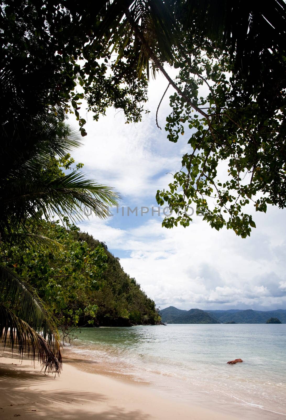 Beach Paradise