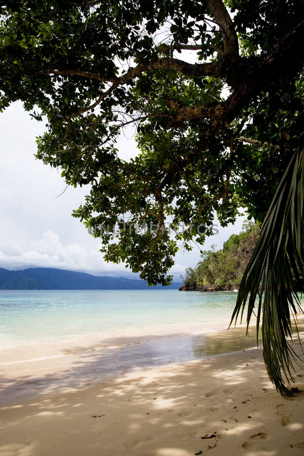 Beach Paradise