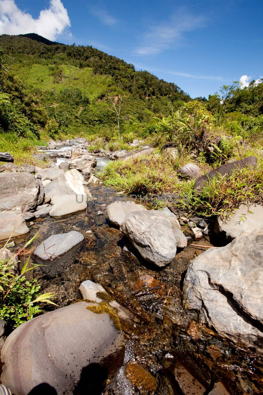 Mountain Stream