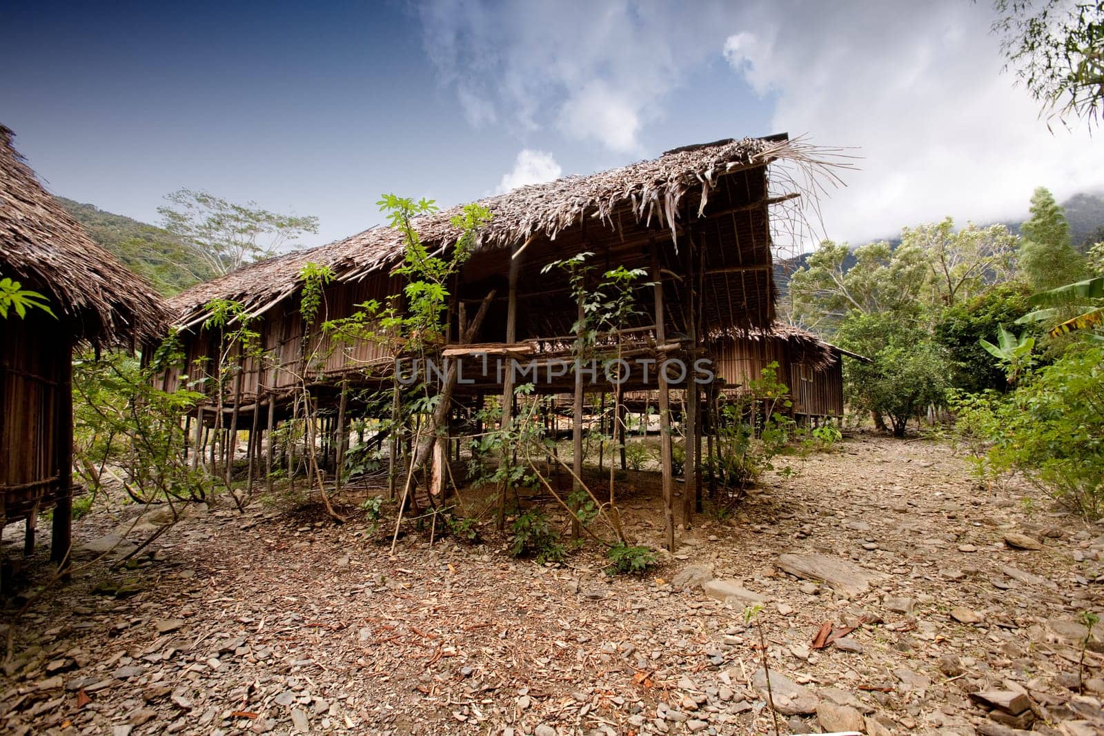 Village Hut