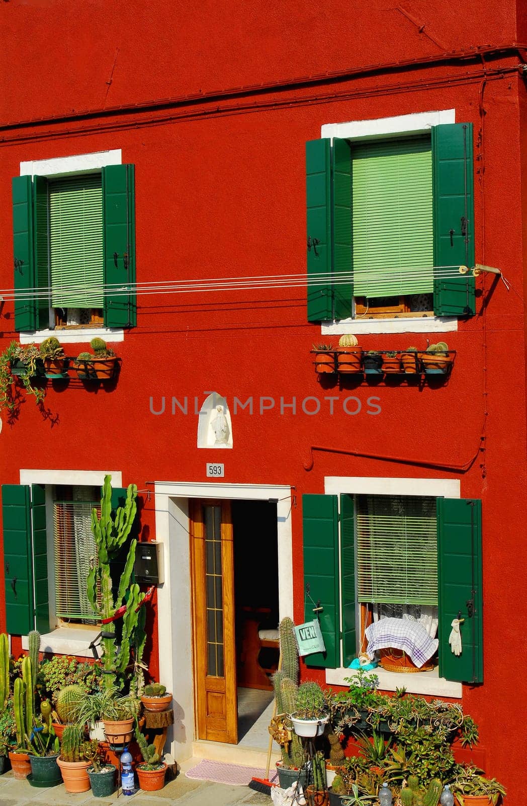 The house with the many cacti