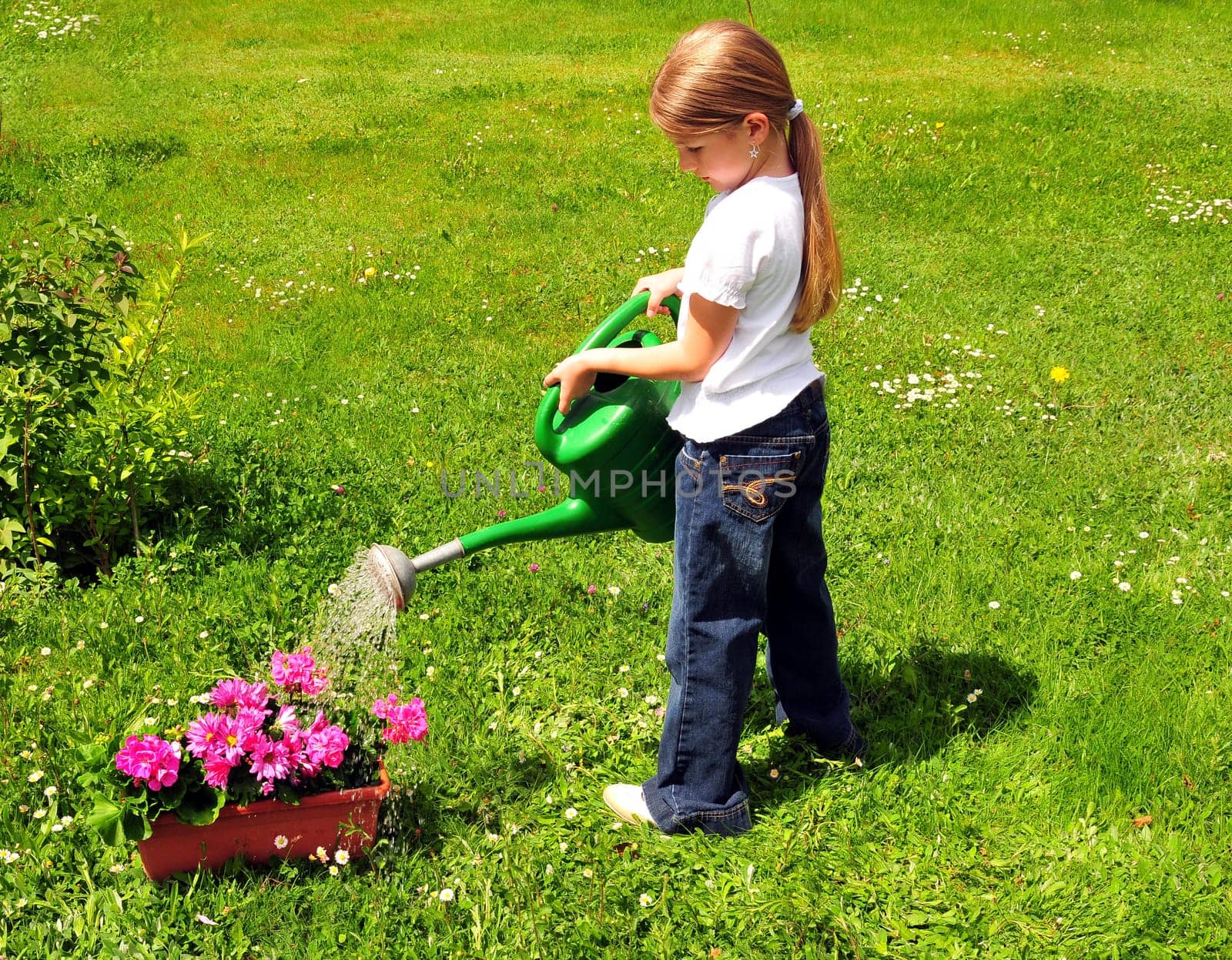 Child watering flowers