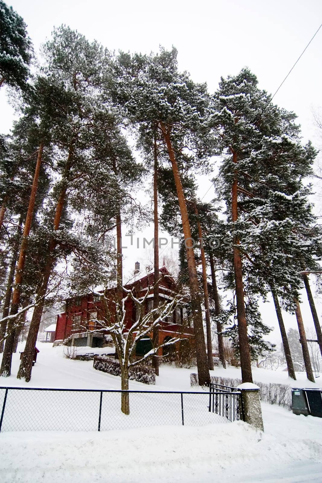 Winter Villa